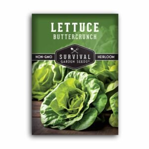 Buttercrunch Lettuce Seeds – Award-Winning Bibb-Style Heirloom | Sweet, Tender, Heat-Tolerant Variety for Home & Container Gardens