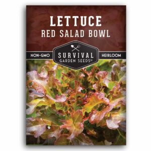 Red Salad Bowl Lettuce Seeds – Heat-Tolerant Loose-Leaf Variety for Continuous Harvests