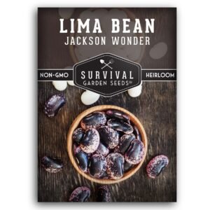 Jackson Wonder Lima Bean Seeds – Heat-Tolerant Dwarf Bush Butterbeans for Fresh or Dried Use