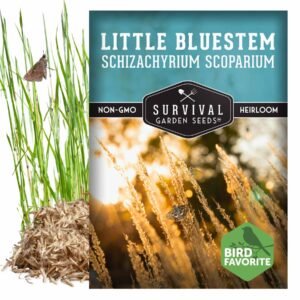 Little Bluestem Grass Seeds (Schizachyrium scoparium) – Native Prairie Grass for Butterfly Habitat, Erosion Control & Fall Color