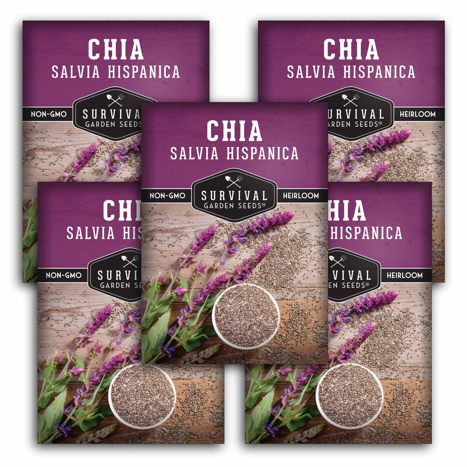 Mexican_Chia_-_1.4.jpg