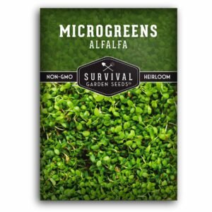 Alfalfa Microgreens Seeds – Fast-Growing, Nutritious Micro Herbs for Indoor Gardening