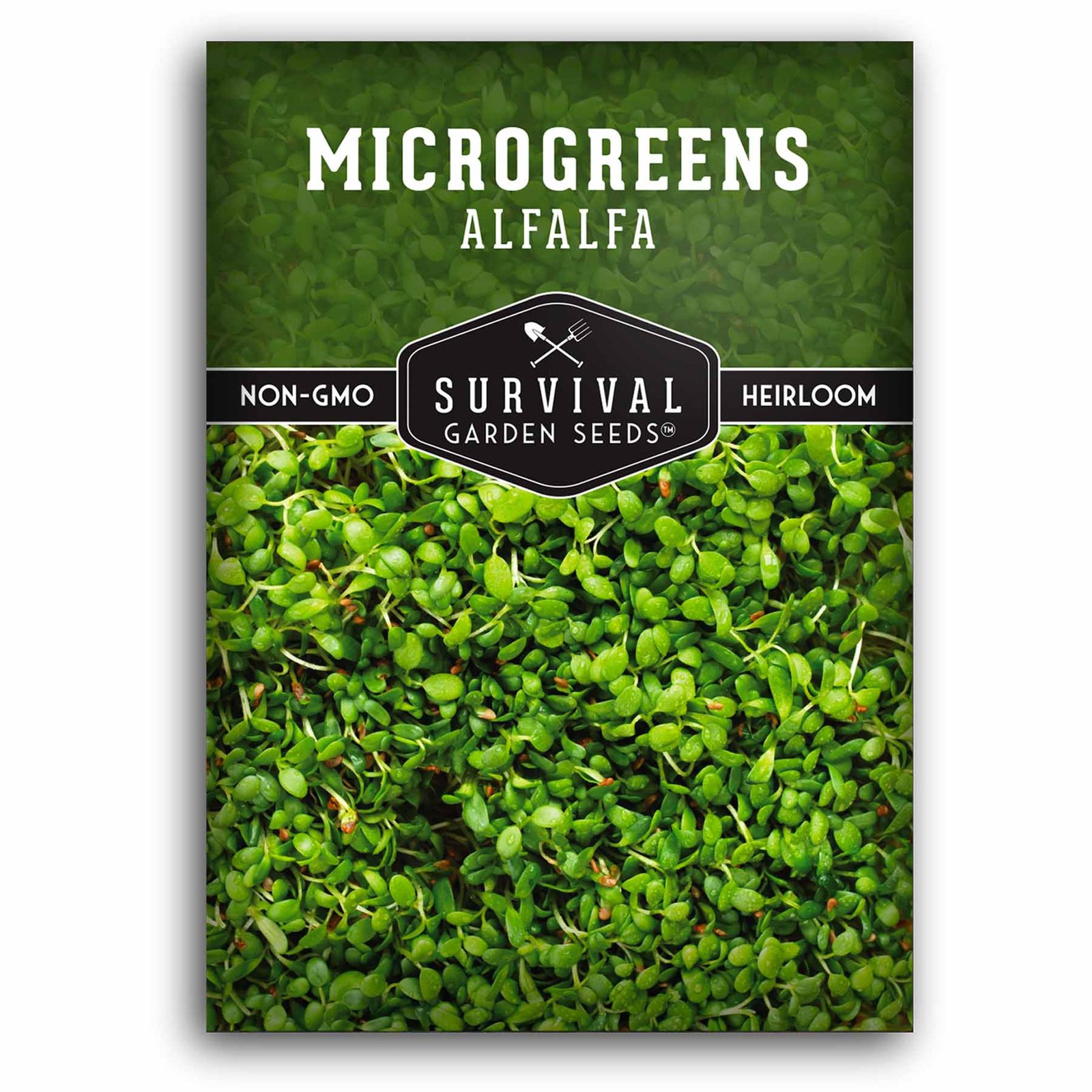 Microgreens-Alfalfa-01.1.jpg