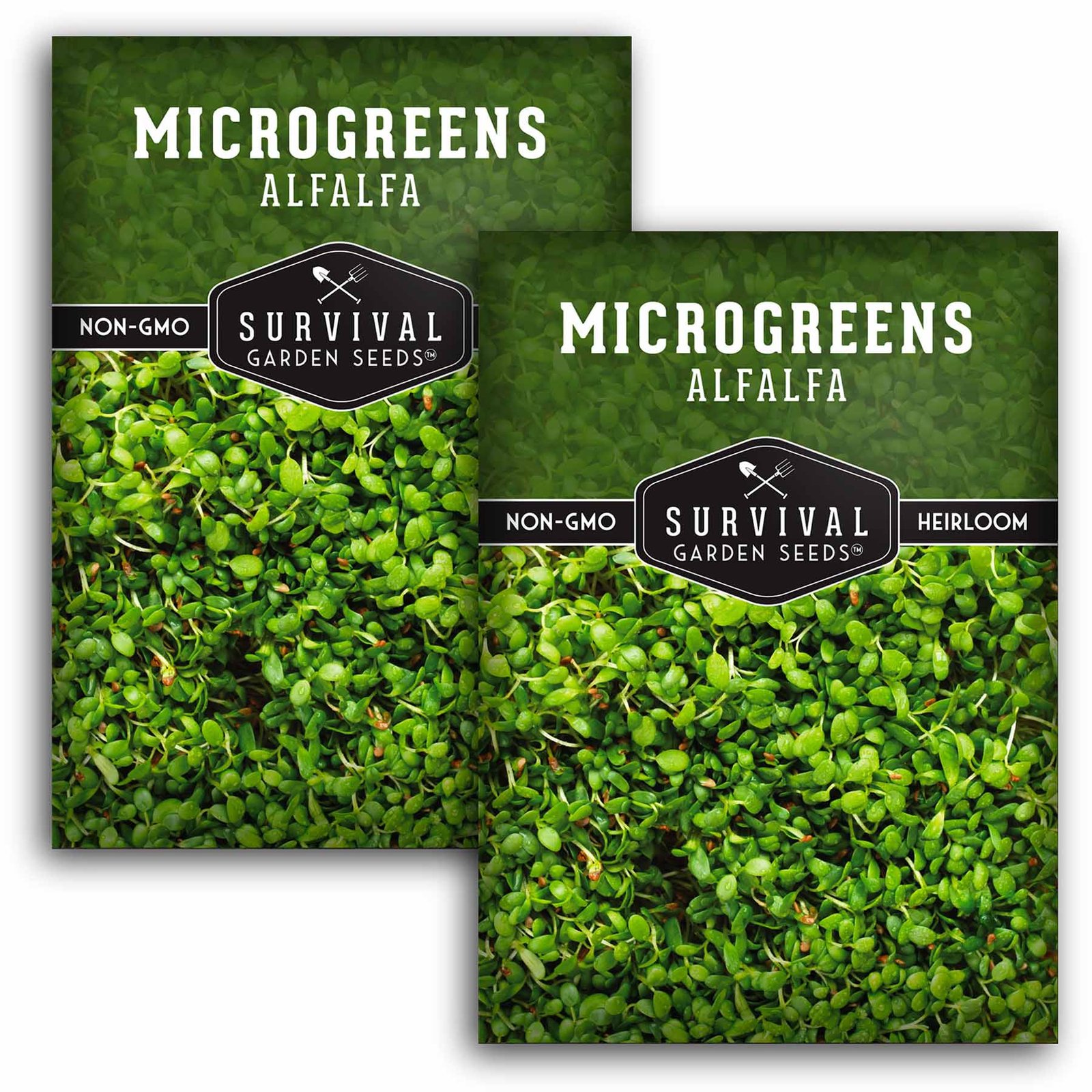 Microgreens-Alfalfa-01.2.jpg