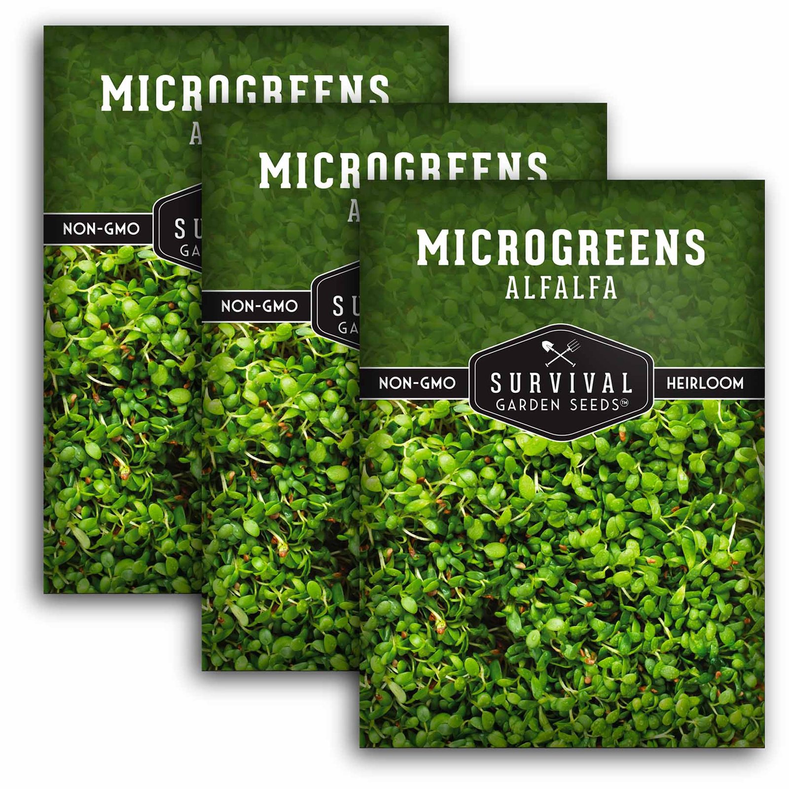 Microgreens-Alfalfa-01.3.jpg