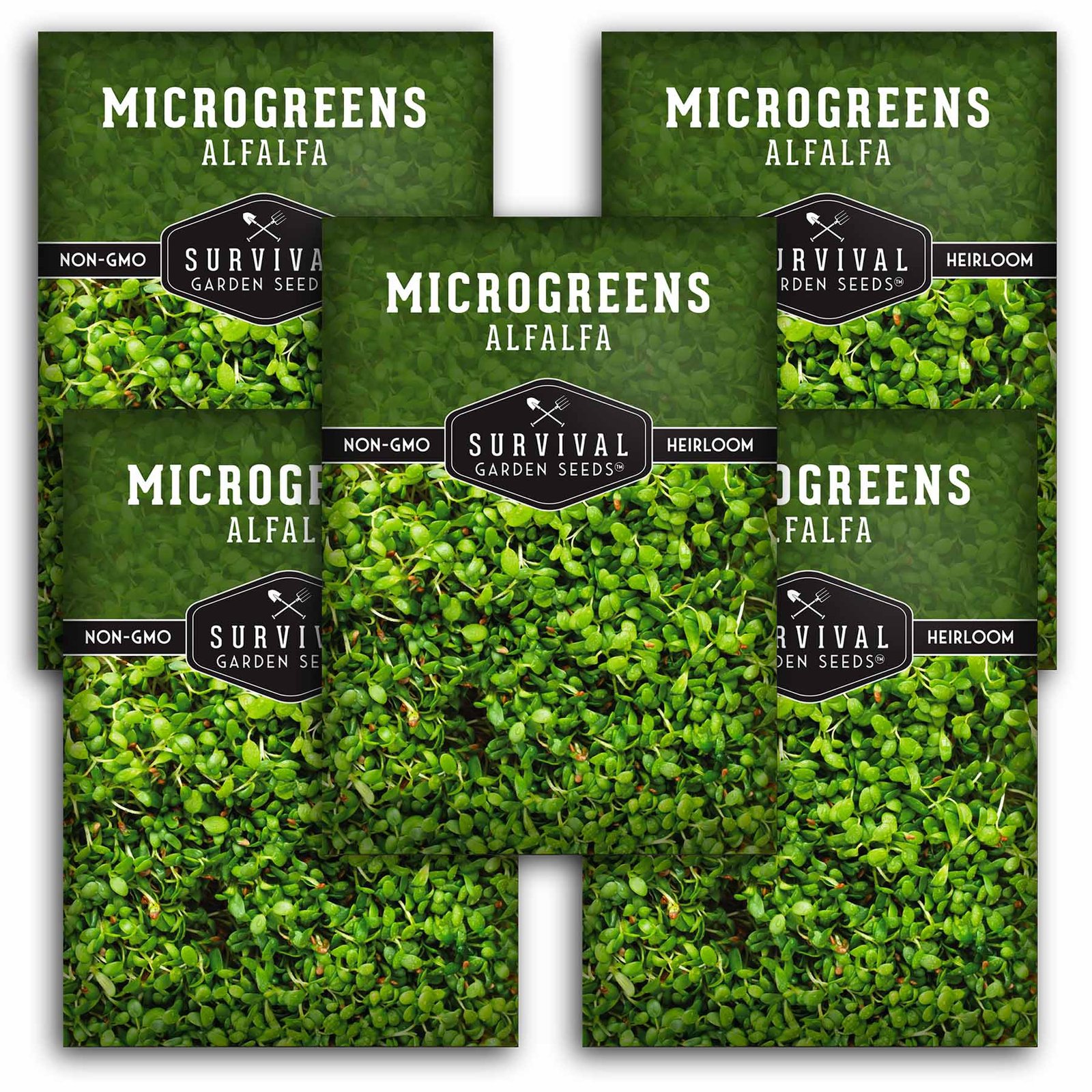 Microgreens-Alfalfa-01.5.jpg
