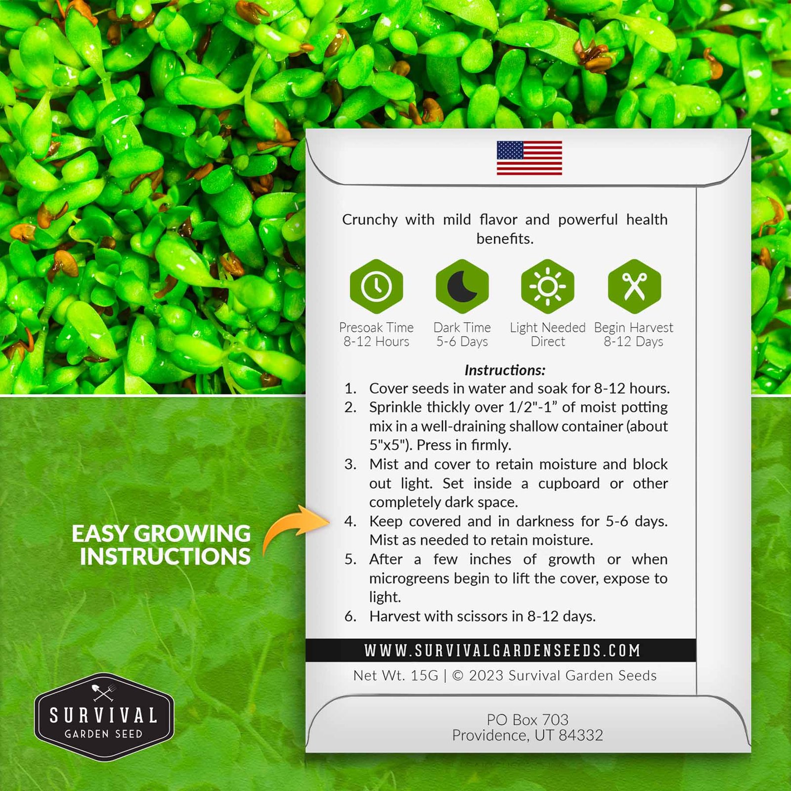 Microgreens-Alfalfa-02.jpg
