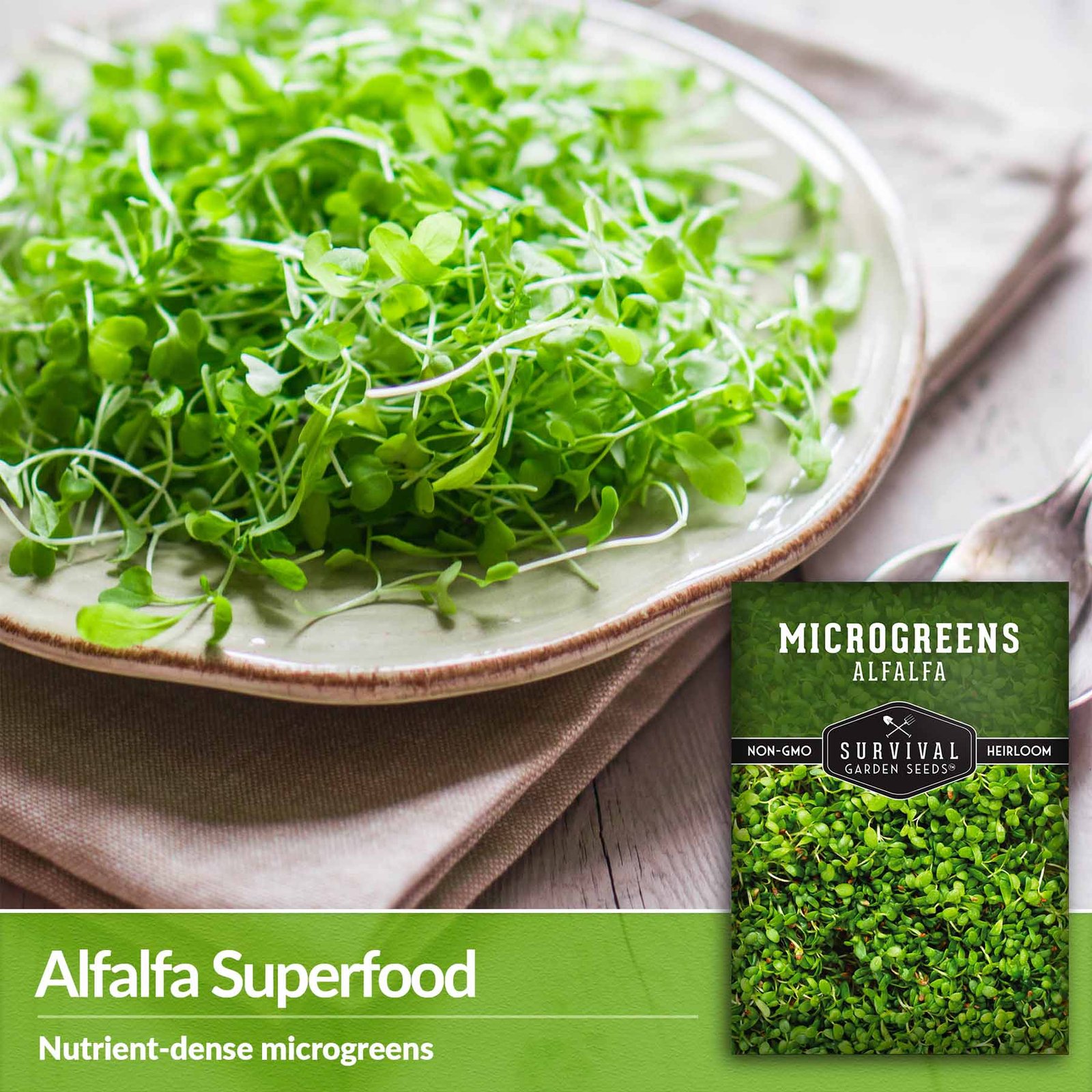 Microgreens-Alfalfa-03.jpg