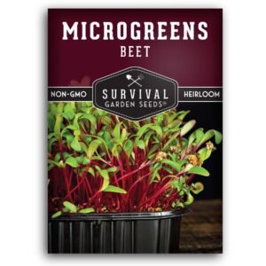 Beet Microgreen Seeds – Non-GMO Heirloom Seeds for Indoor Growing, Sprouting & Vibrant Red Microgreens