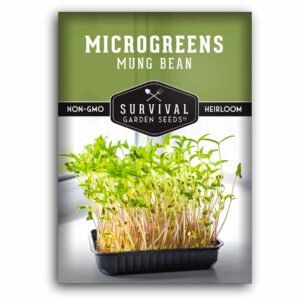 Mung Bean Microgreen Seeds – Non-GMO Heirloom Seeds for Fast Indoor Sprouting, High-Protein Greens & Fresh, Crunchy Flavor