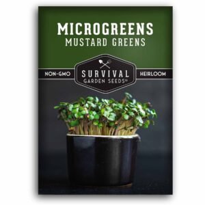 Mustard Microgreen Seeds – Non-GMO Heirloom Seeds for Fast Indoor Growing, Spicy Flavor & Nutrient-Dense Greens
