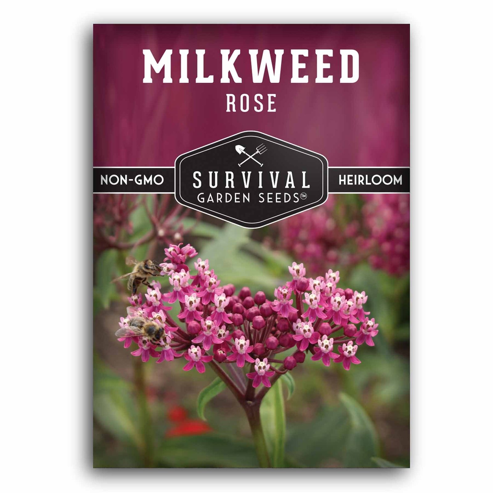 Milkweed-Rose-01.jpg