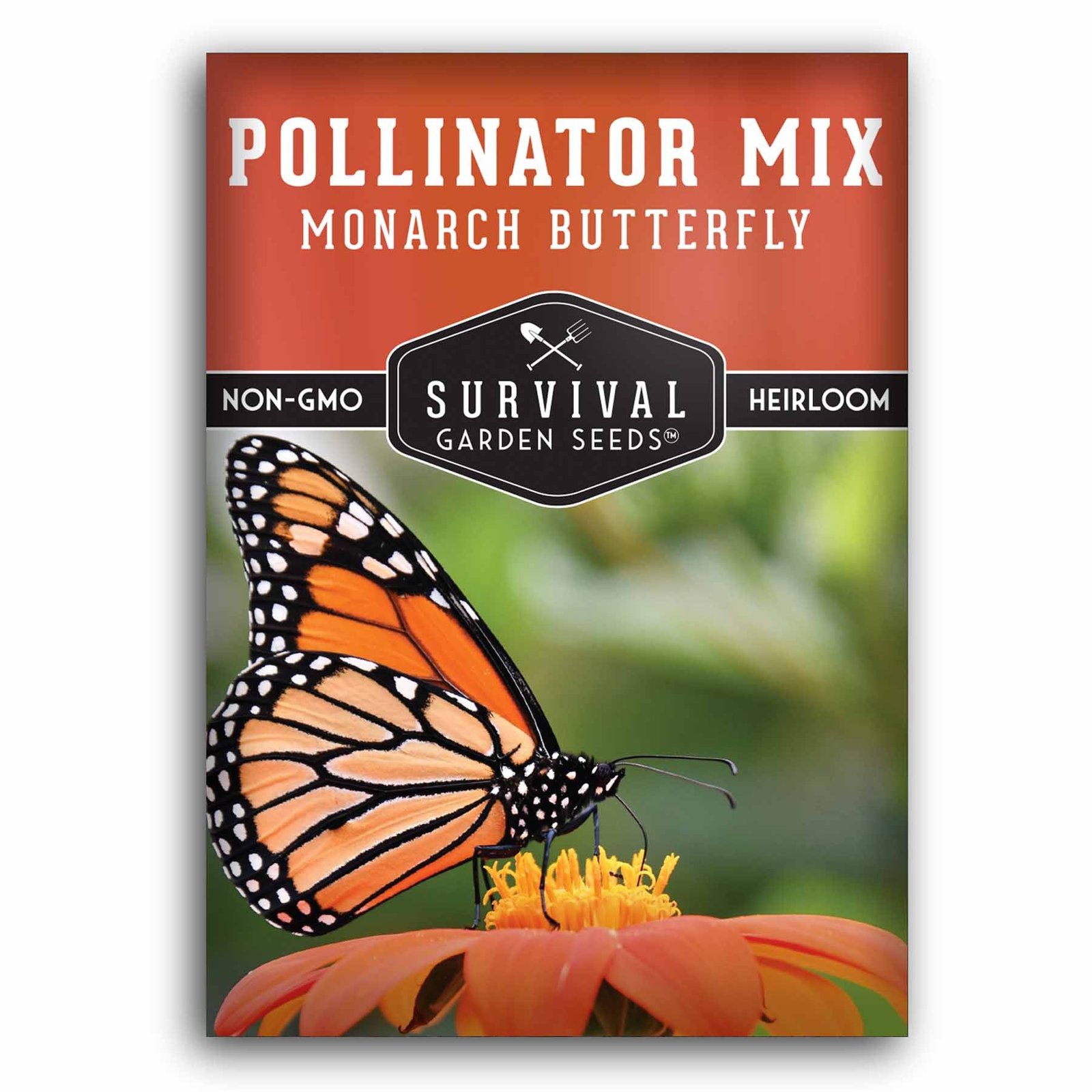 Monarch-Seed-Mixture-01.jpg
