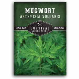 Mugwort Seeds (Artemisia vulgaris) – Hardy Perennial Herb with Silver-Green Foliage for Culinary & Garden Use