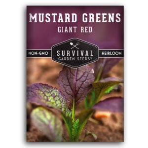 Giant Red Mustard Green Seeds – Heirloom Non-GMO Variety for Bold, Spicy Flavor & Ornamental Garden Color