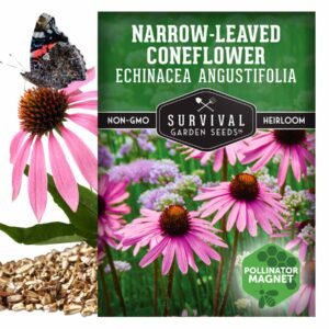 Narrow-Leaved Coneflower Seeds (Echinacea angustifolia) – Native Drought-Tolerant Perennial for Pollinators, Prairie Gardens & Medicinal Use