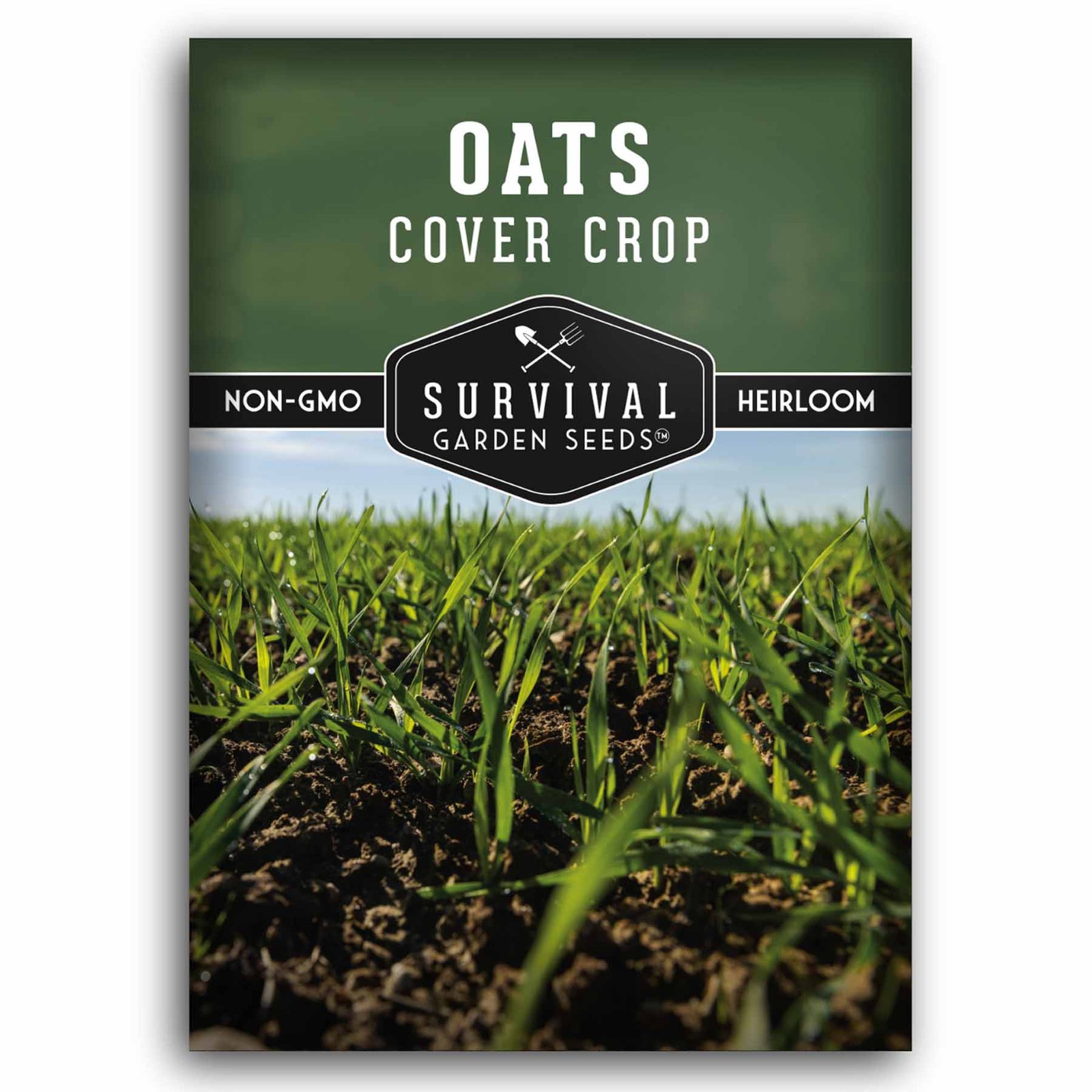OatsCoverCrop-1.1.jpg