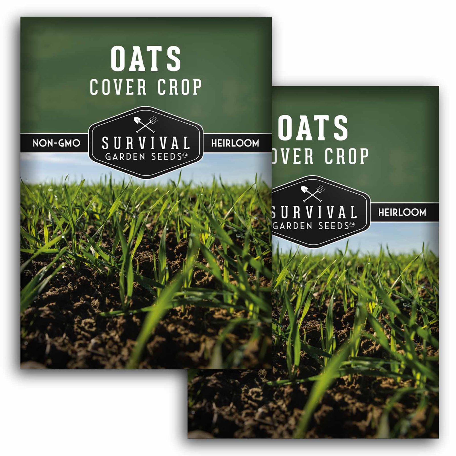OatsCoverCrop-1.2.jpg