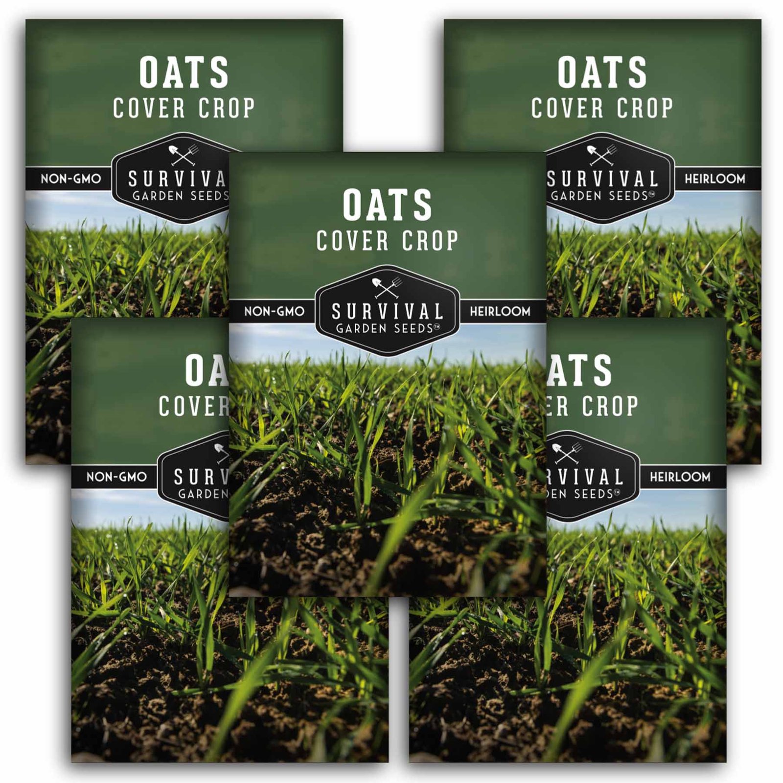 OatsCoverCrop-1.5.jpg