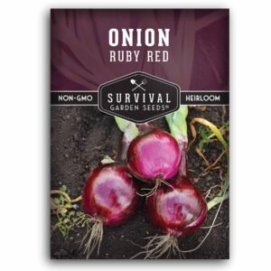 Ruby Red Onion Seeds – Long-Day Variety for High-Yield, Sweet, Burgundy Bulbs