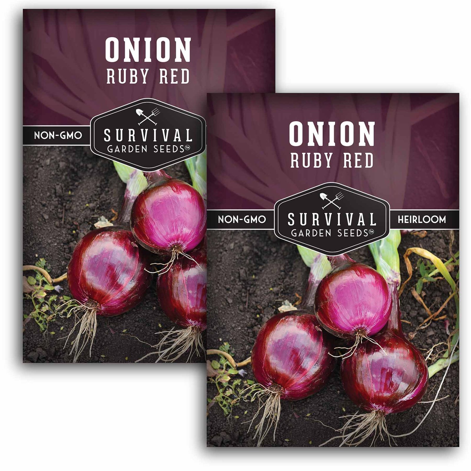 Onion-Ruby-Red-01.2.jpg