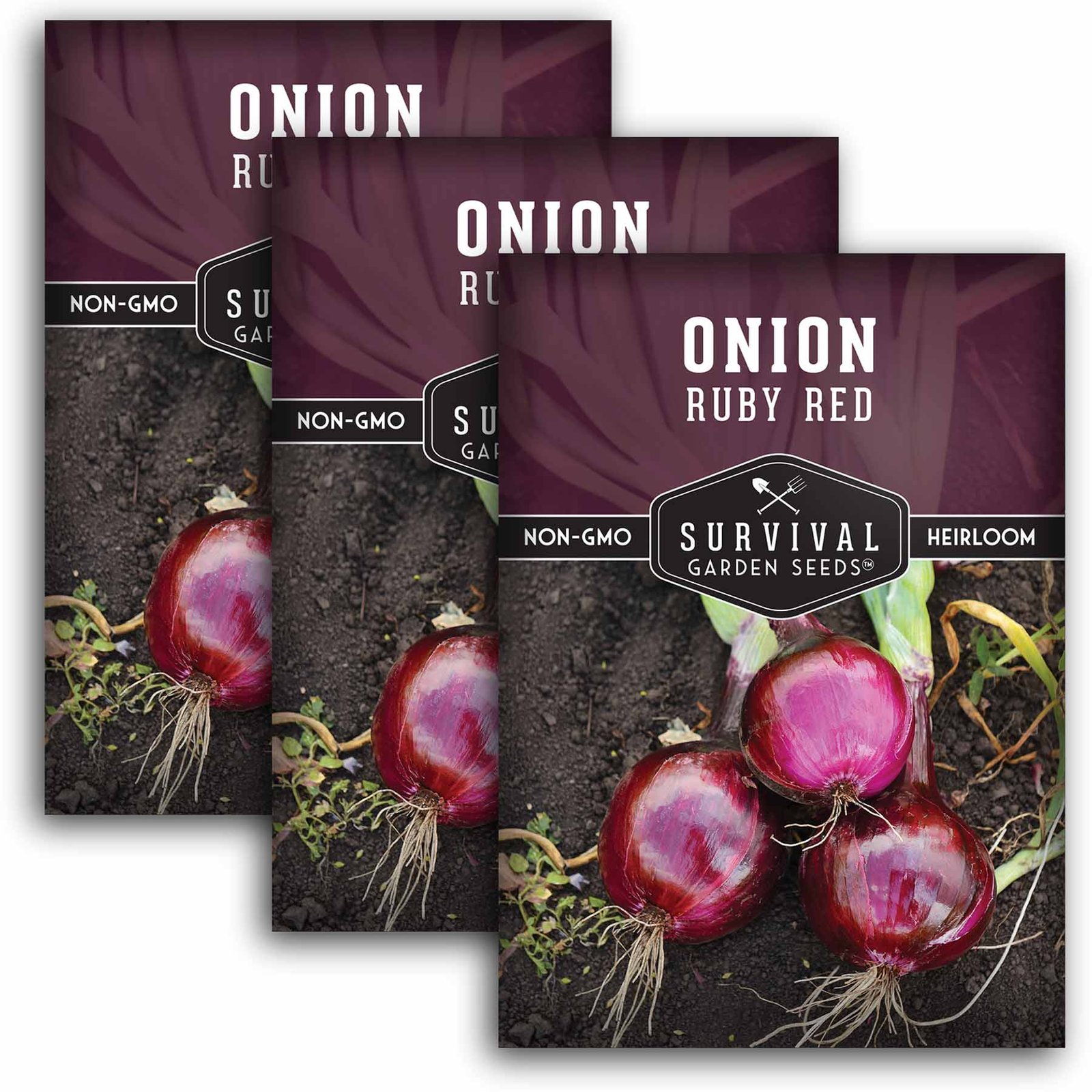 Onion-Ruby-Red-01.3.jpg