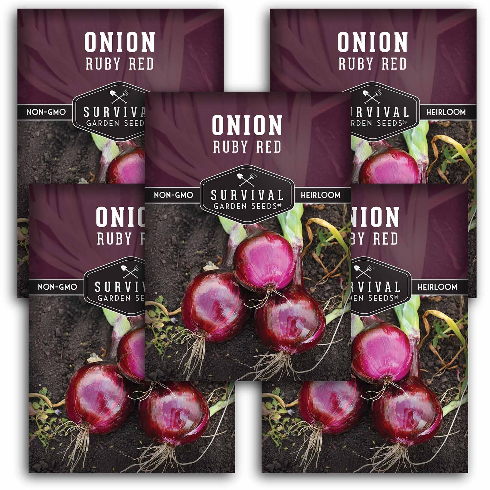 Onion-Ruby-Red-01.5.jpg