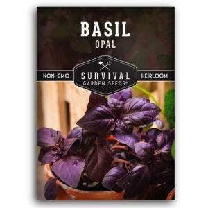 Opal Basil Seeds – Deep Purple Sweet Basil for Culinary Use & Ornamental Gardens