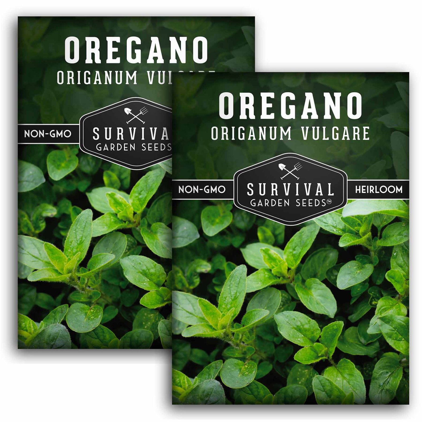 Oregano-01.2.jpg