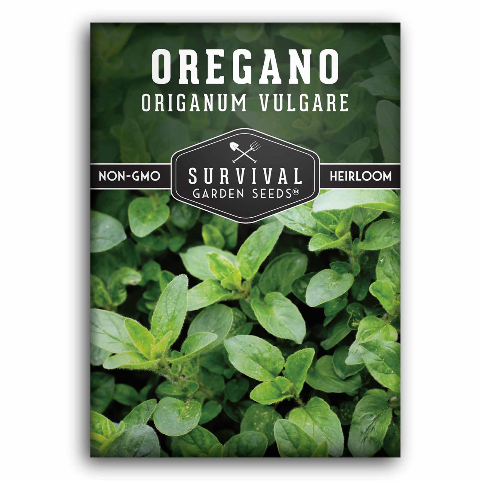 Oregano-01.jpg