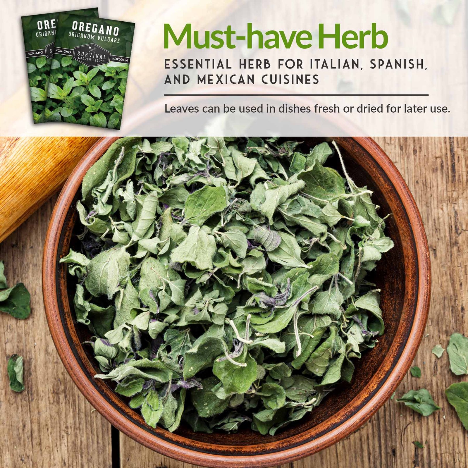 Oregano-04.jpg