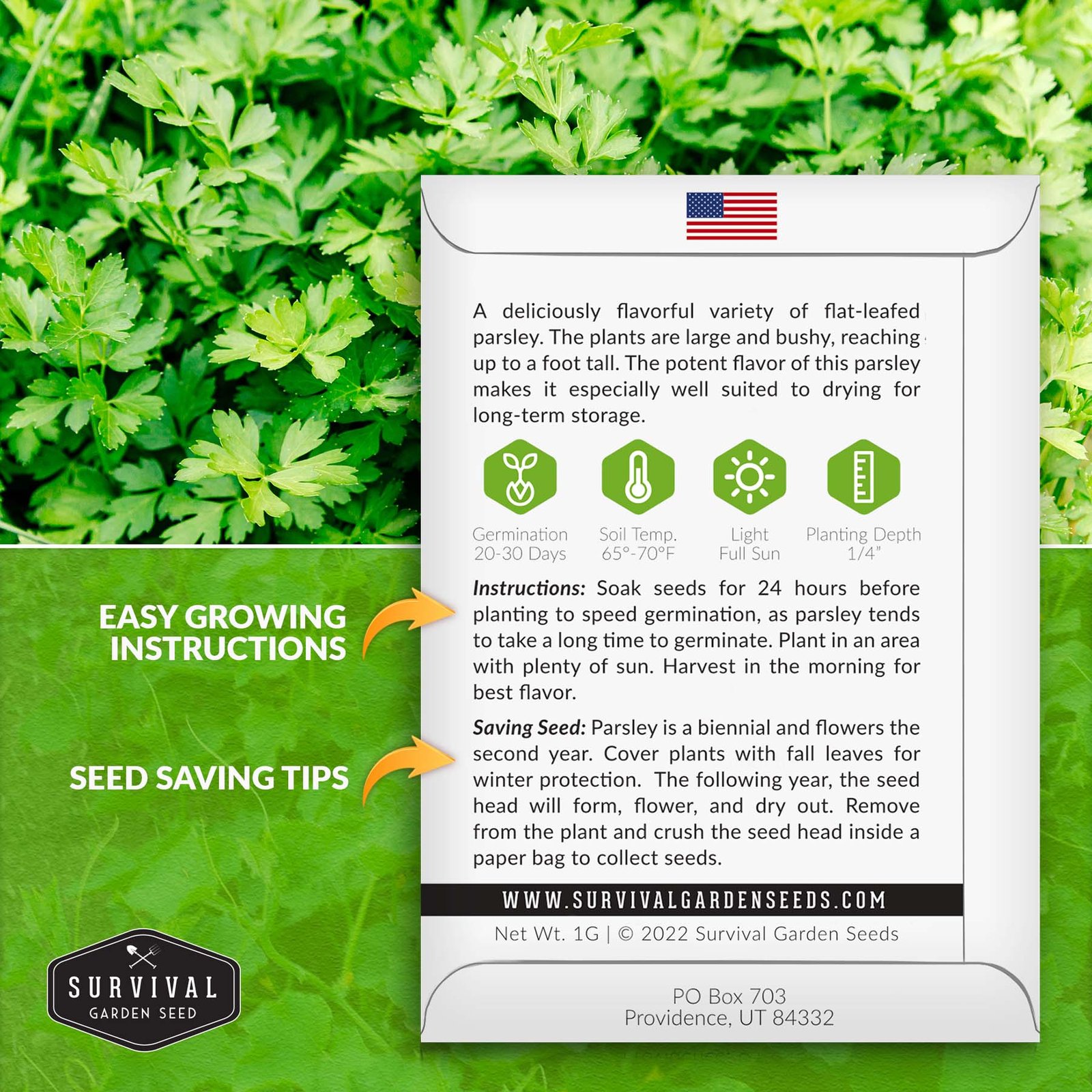 Parsley-Italian-Giant-02.jpg