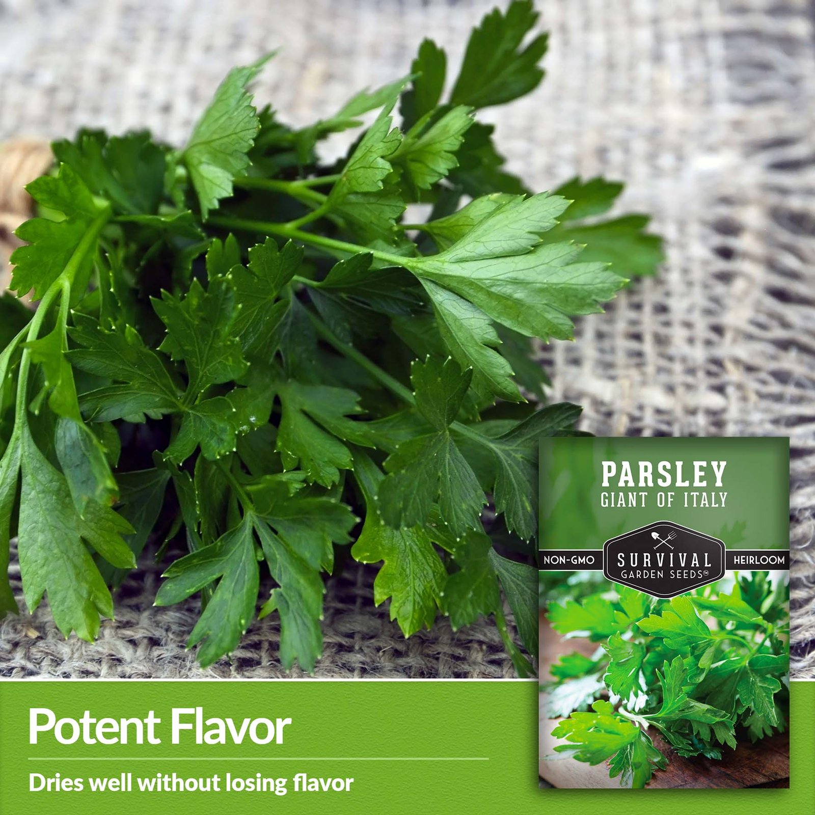 Parsley-Italian-Giant-04.1.jpg