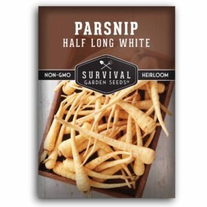 White Half Long Parsnip Seeds – Heirloom Root Vegetable with Sweet, Nutty Flavor for Cool-Season Gardens