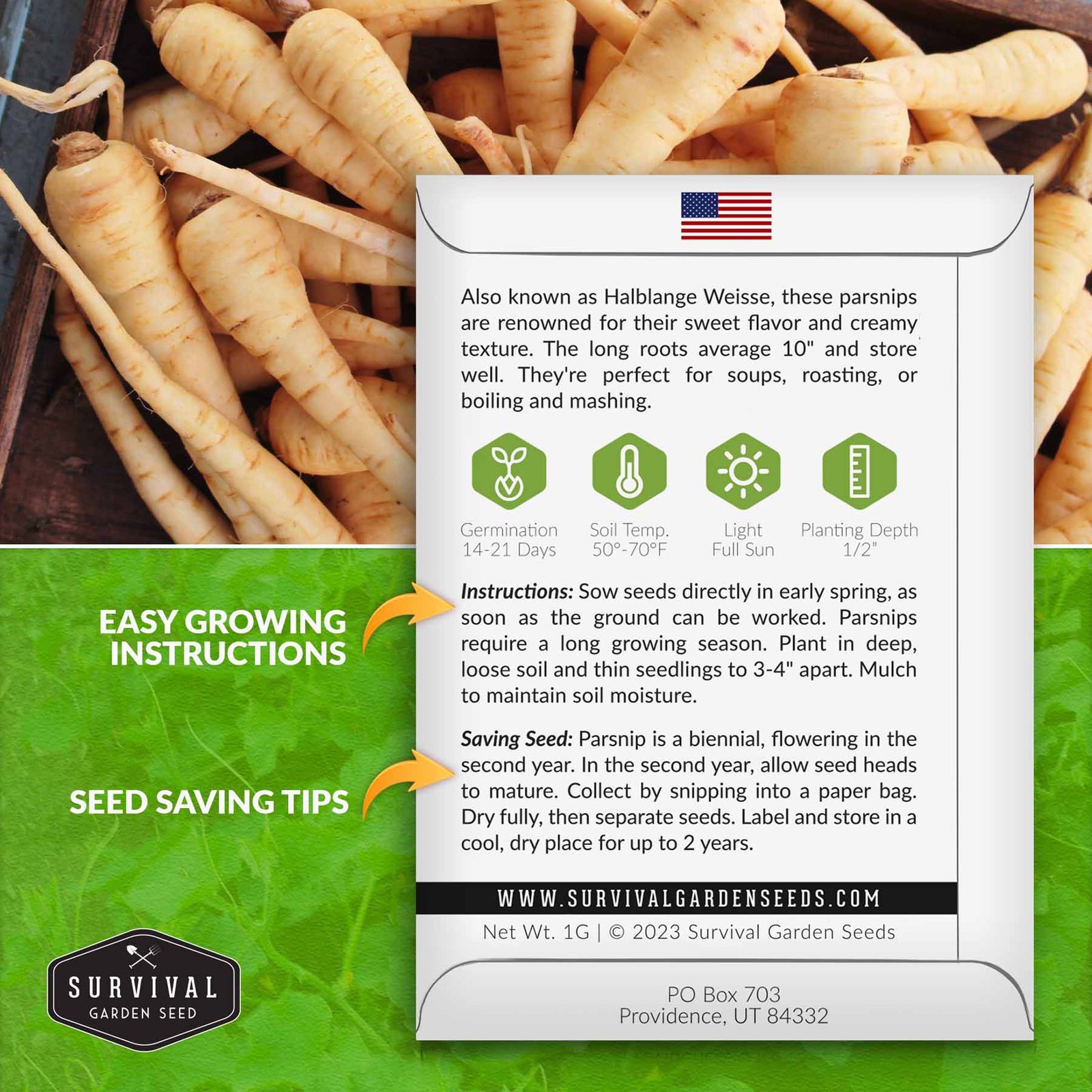 Parsnip-Half-Long-White-02.jpg