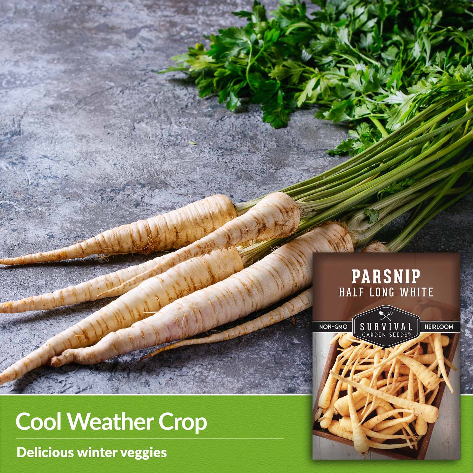 Parsnip-Half-Long-White-04.jpg