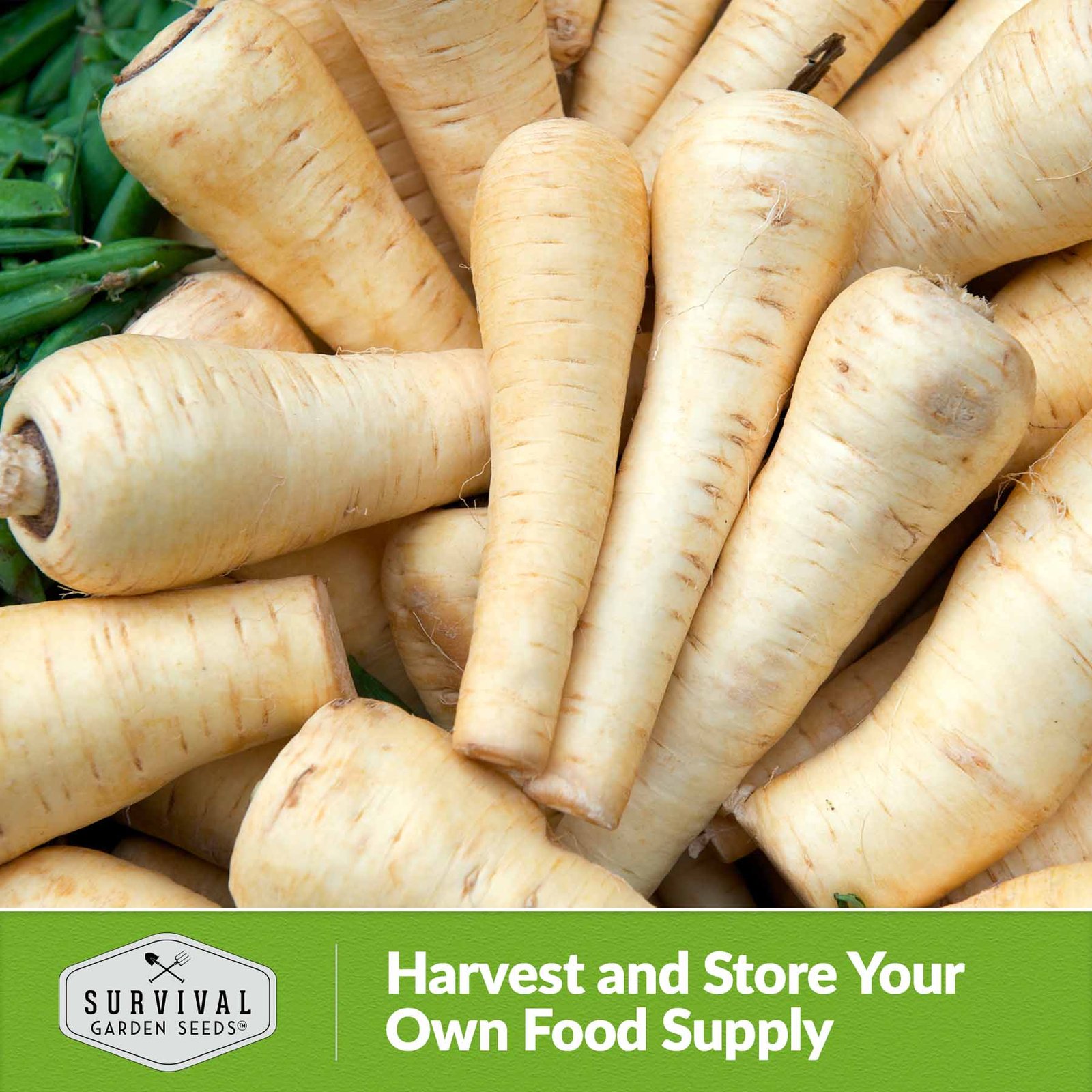 Parsnip-Half-Long-White-06.2.jpg