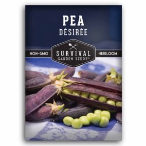 Désirée Pea Seeds – Early Heirloom Shelling Peas with Pink Blooms & Purple Pods for Cool-Season Gardens