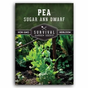 Sugar Ann Dwarf Pea Seeds – Early, Compact Snap Peas for Containers & Small Gardens