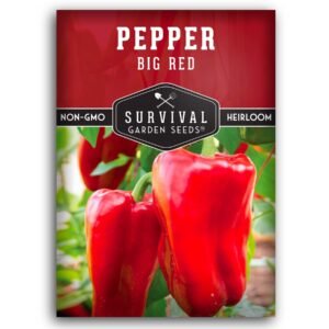 Big Red Bell Pepper Seeds – Heirloom Non-GMO Sweet Peppers for Stuffing, Roasting & Fresh Eating