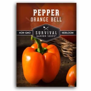 Orange Bell Pepper Seeds – Heirloom Non-GMO Sweet Peppers for Fresh Eating, Cooking & Garden Growing