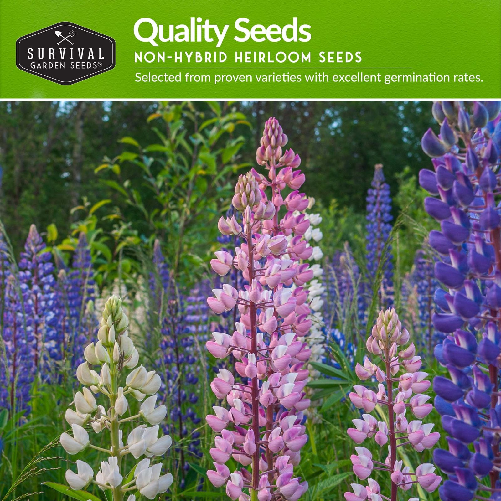 Perennial-Flower-Collection-03.jpg