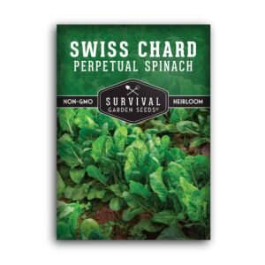 Perpetual Spinach Seeds – Heirloom Non-GMO Swiss Chard Variety for Long-Season Greens, Cut-and-Come-Again Harvests