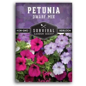 Dwarf Mix Petunia Seeds – Compact Annual Flowers for Containers, Borders & Hanging Baskets