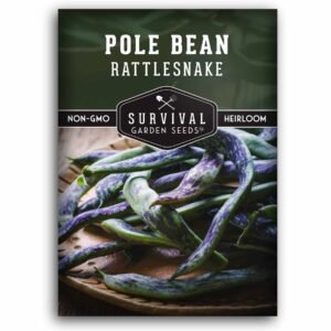 Rattlesnake Pole Bean Seeds – Vigorous Heirloom Beans with Green & Purple Pods for Fresh or Dry Use