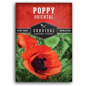 Oriental Poppy Seeds – Hardy Perennial with Scarlet Blooms for Cool-Season Gardens