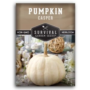 Casper Pumpkin Seeds – Heirloom Non-GMO White Pumpkins for Fall Décor, Carving & Baking