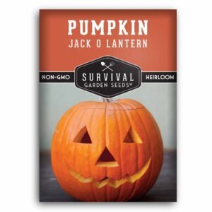 Jack O’ Lantern Pumpkin Seeds – Classic Heirloom Non-GMO Variety for Carving, Fall Décor & Seasonal Cooking