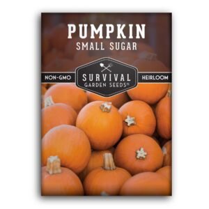 Small Sugar Pumpkin Seeds – Heirloom Non-GMO Pie Pumpkin Variety for Baking, Roasting & Fall Harvest