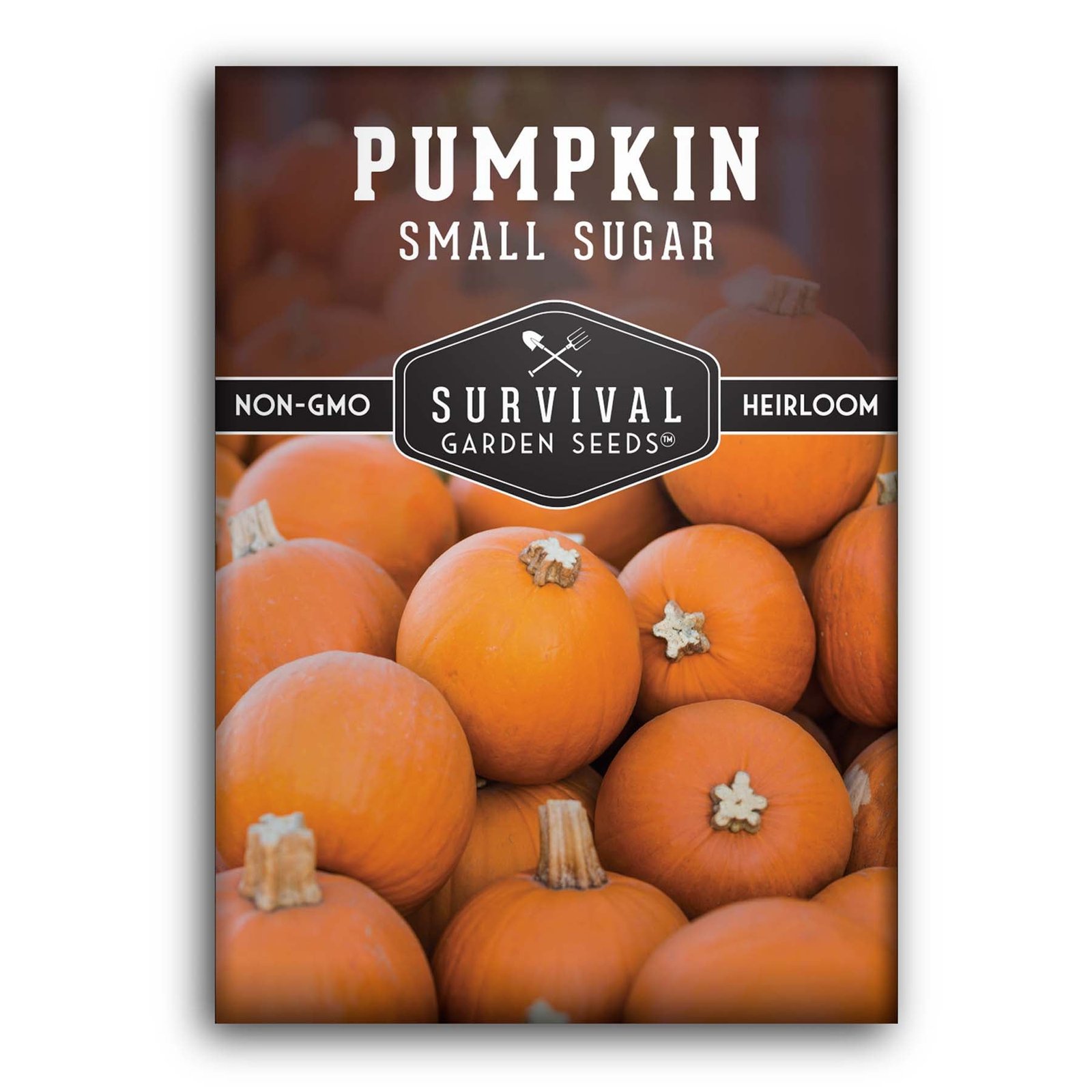 Pumpkin-Small-Sugar-01.1.jpg